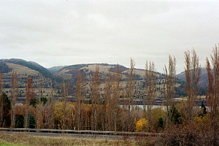 [A lot of thin tall trees with no leaves were planted on the river side of the guardrail. They only very partially obscure the view of the hillsides on the other side of the river which have some heavily tree'd sections while other sections are bare. The river is visible only in a few places.]